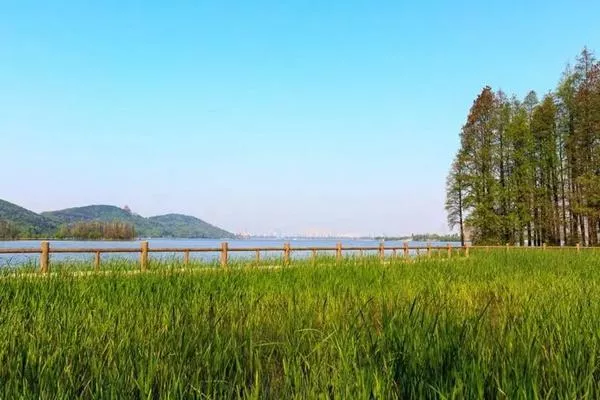 東湖落雁島游玩攻略 交通、門(mén)票、怎么玩等信息都在這了